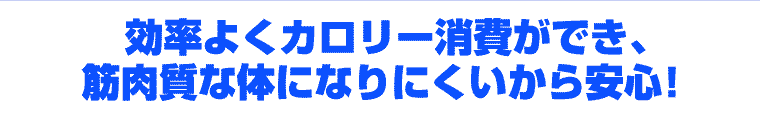 �����悭�J�����[����ł��A�ؓ����ȑ̂ɂȂ�ɂ���������S