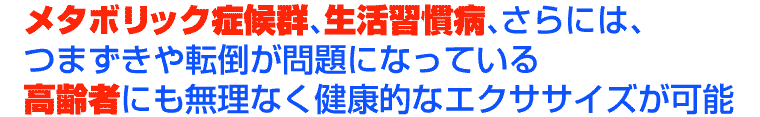 ����҂ɂ������Ȃ����N�I�ȃG�N�T�T�C�Y���\