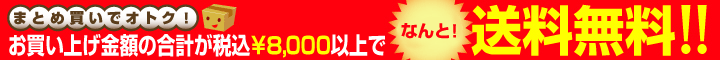 �T�C�N���c�C�X�^�[�X�����͑�������